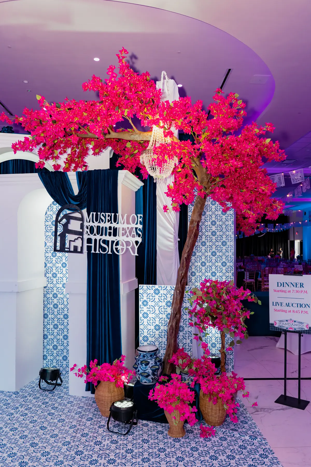 Fandango by ELEVENTS, archive frame 27